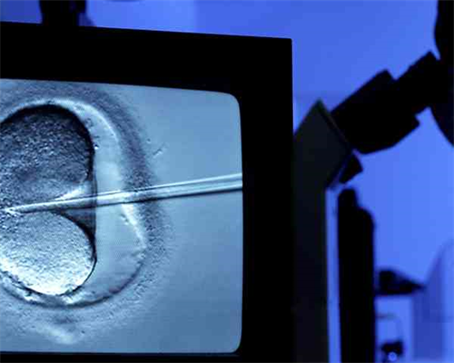 上海试管婴儿医院排名医院名单公布最新~助孕产子试管