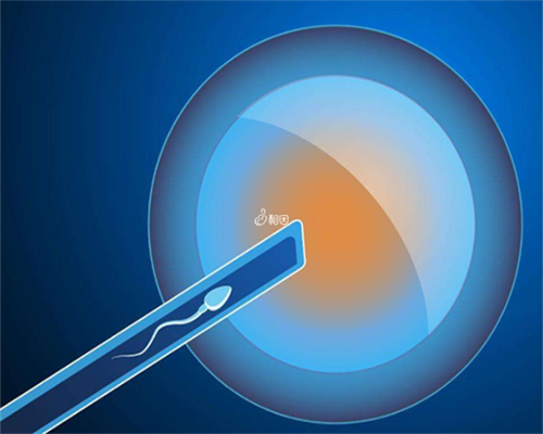 上海捐卵多少钱,上海捐卵试管有无风险-代孕公司怎样