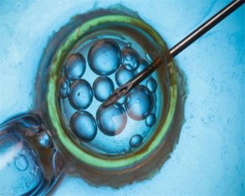 上海供卵找陆仁嘉专家,上海供卵专家陆仁嘉揭秘真相