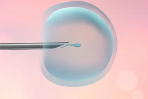 找上海代孕妈，回忆我在上海代孕那段度日如年的日子