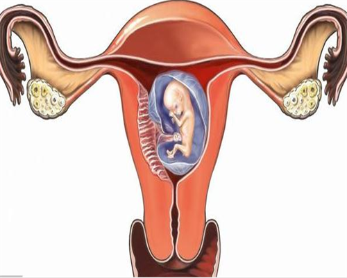 上海助孕医院，试管知识：上海助孕医院哪家好？贝莱辅助生殖中心试管为您圆