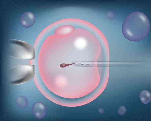 上海找助孕医院，泰国试管婴儿 海外机构:上海助孕生子机构哪家好？