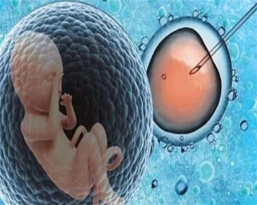 上海帮人助孕,上海助孕供卵医院,供卵助孕一条龙