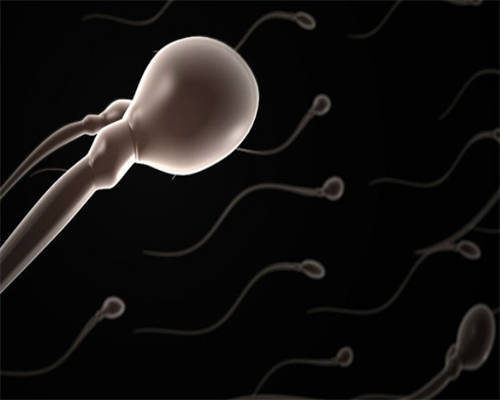 试管如果移植失败还需取卵吗？