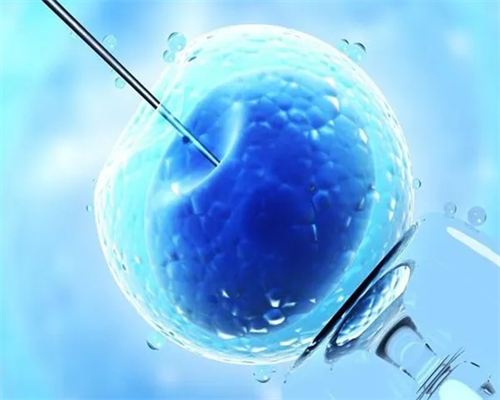 上海试管费用哪个便宜_上海试管婴儿要花多少钱