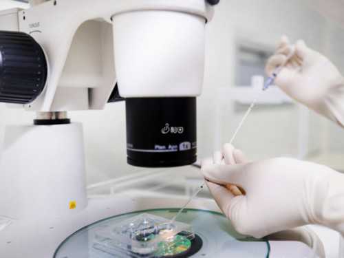 上海捐卵多少钱,上海捐卵试管有无风险-代怀医院专家