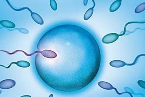 上海助孕宝宝反复湿疹是过敏体质吗？上海助孕宝宝湿疹反复怎么办？