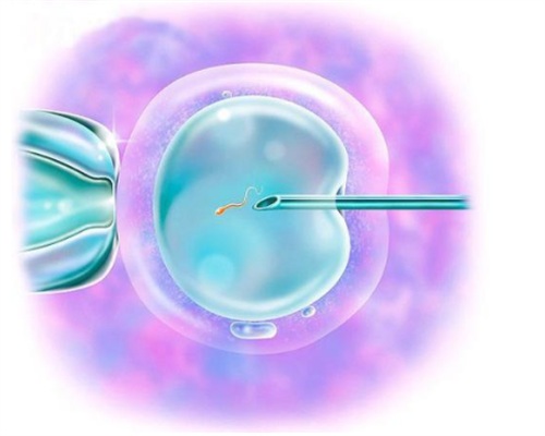 上海供卵多少钱,上海供卵试管怎么样-助孕公司代孕妈妈