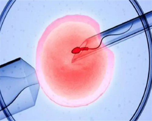 上海捐卵试管有无风险,上海捐卵多少钱-专业代孕包成功