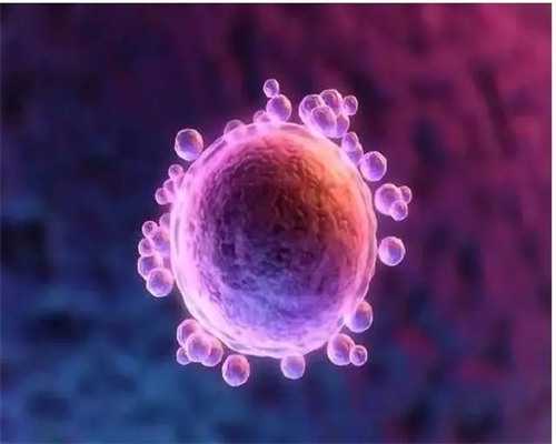 试管婴儿移植后饮食无要求但应小心这几项-上海供卵试管中心电话_上海正规供