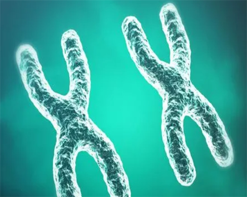 上海薅慜供卵公司,做试管需要住院吗-上海供卵试管公司有哪些_供卵是一次性给