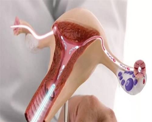 上海代生在哪找,上海代生宝宝捐卵供卵,上海供卵试管宝宝医