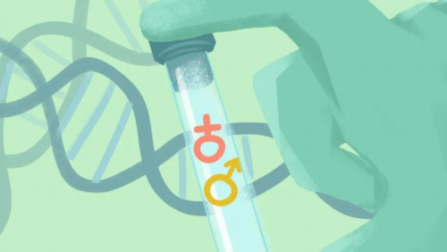 上海育儿假5天是强制的吗（上海育儿假必须执行吗）