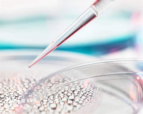 移植完后可不可以吃蚕豆?移植完后吃蚕豆好不好?~代生子包女孩