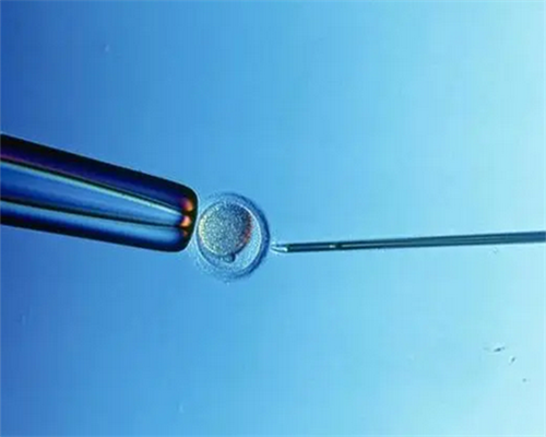 上海代怀生男孩,没有卵泡能做试管婴儿吗?-上海供卵试管生子多少钱_2026年羊