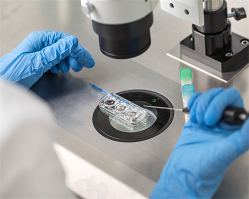 上海美女代生孩，捐卵供卵生男孩上海代生（用别人的卵子长得像谁呢）