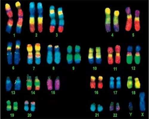 上海助孕宝宝视力是怎么发育的?如何训练上海助孕宝宝的视力发育?