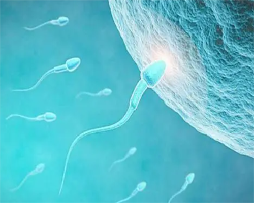 上海试管代生群,揭阳婴儿捐卵供卵生男孩上海代生