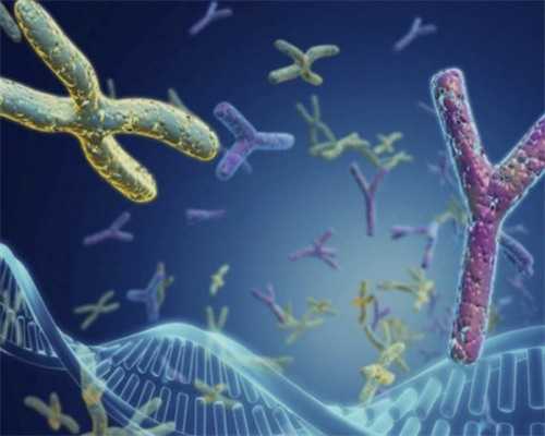 上海代怀免费咨询 上海陪产假新政策 ‘32周双顶径看男女’