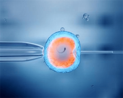上海代孕套餐费用,试管移植冻胚后几天着床-上海卵巢早衰供卵价格-上海正规供