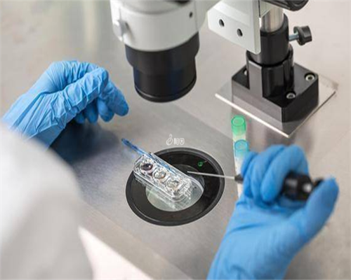 上海助孕宝宝脾虚怎么调理