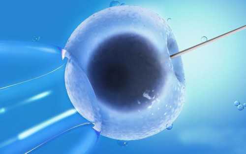 上海正规供卵中心,“我吃宵夜时吃了田螺怎么办？我的试管宝宝会畸形吗？”