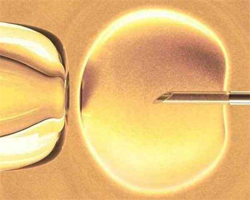 上海集爱和上海九院哪个试管好，包含哪些方面！