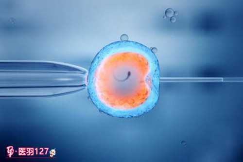 上海助孕宝宝拇指内扣上海助孕宝宝拇指内扣是脑发育迟缓吗