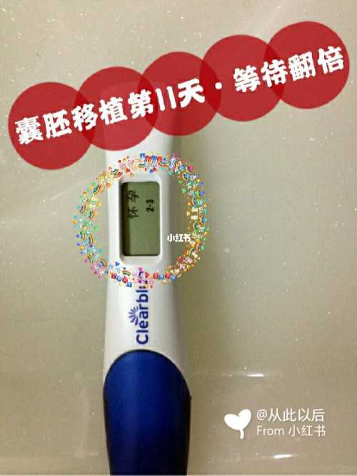 上海有捐卵，上海捐卵供卵中介机构哪家好？捐卵供卵试管优势