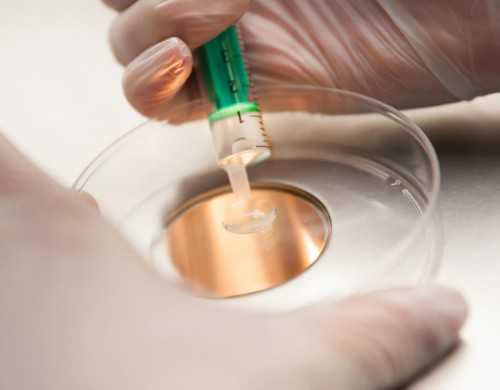 上海供卵试管的中介,上海仁济-供卵时间_借卵代生费用