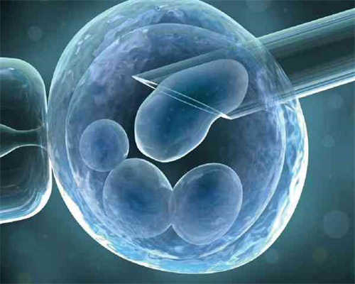 上海助孕宝宝绿便怎么改善,上海助孕宝宝腹泻该怎么喂养