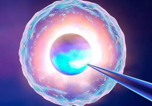 上海最好试管代孕,上海仁济医院能做供精试管吗？附供精试管详细手续