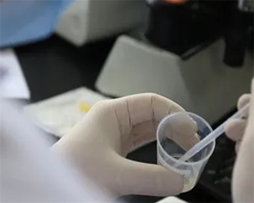 上海试管怀孕孩子全包,上海试管怀孕全包服务