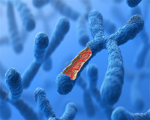 上海怎么找借腹生子中介,上海供卵试管价格多少钱,【上海代孕基地，孕育奇迹