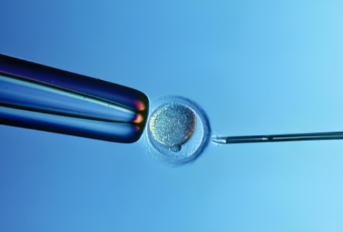 关于上海一院生殖中心(上海市第一人民医院)