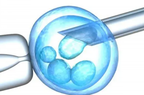 试管婴儿手术取卵是不是很疼，打没有打麻药，对身体有害吗-上海正规供卵试