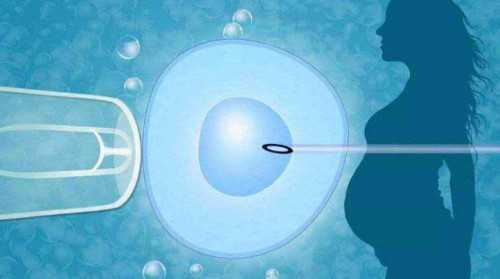 上海试管哪家医院比较好(上海试管哪家比较推荐)