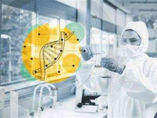 上海捐卵多少钱,上海捐卵试管有无风险-代怀医院经历