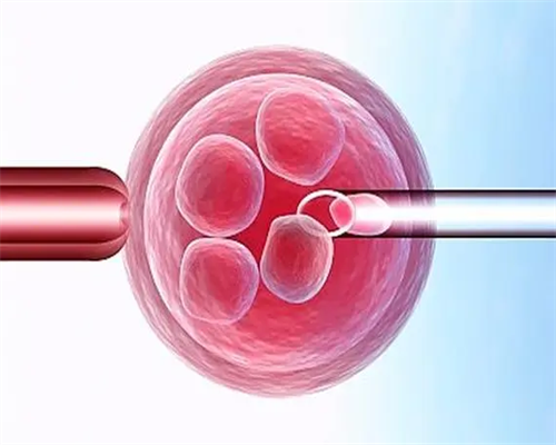 上海双胞胎助孕，2026上海助孕机构大全附17家生殖医院3家公司名单