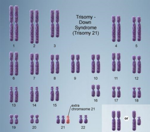 上海找代怀母亲,上海代怀孕私立供卵医院,上海供卵上海私立医院