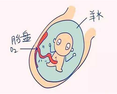 试管婴儿过程的图片：怀孕可以吃鱼，海鲜也有