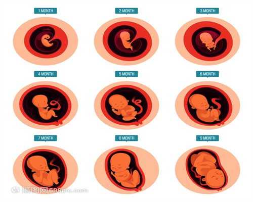 第二代试管婴儿过程：怀孕六个月，半夜上厕所
