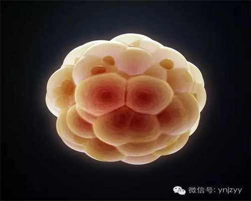 上海助孕就选坤和助孕,孕期、哺乳期感冒了怎么