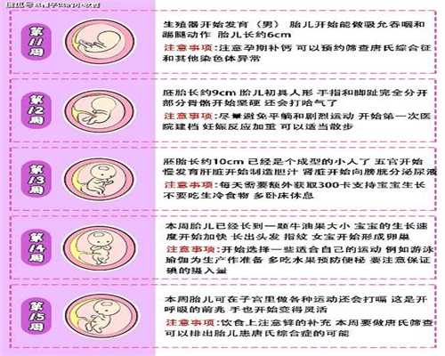 上海世纪代孕高薪,江门孕期多少周可以做无创