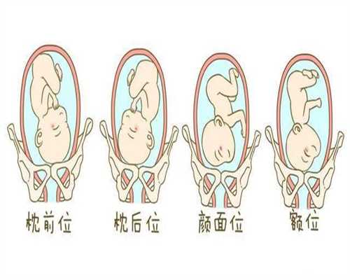 上海代孕网,孕妇怀孕后肚子成这样，第一次见到