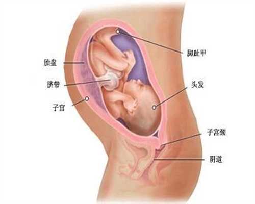 上海助孕中心,子宫内膜薄，还能怀孕吗
