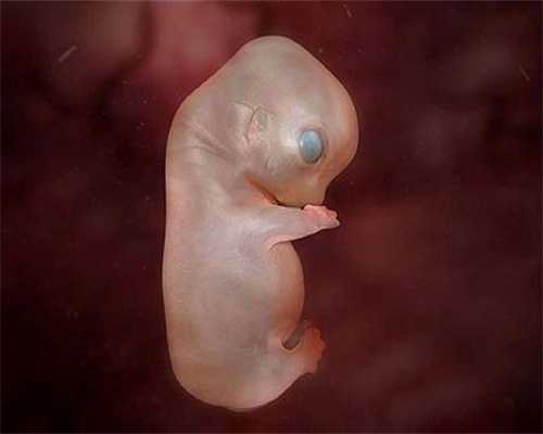 上海代怀孕代孕包成功  ,孕妇怀孕40天，怎样看胚