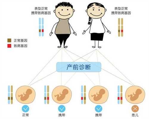 上海试管助孕中心,儿媳怀孕36周行动不便，婆婆