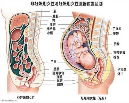上海那做供卵试管,宝宝出生后有这4个“表现”，