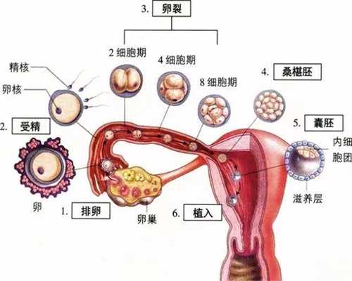 上海世纪试管代孕,孕酮低一定会流产吗很多孕妈